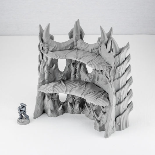 Corner Ruins 3, Tulipa Assimilated