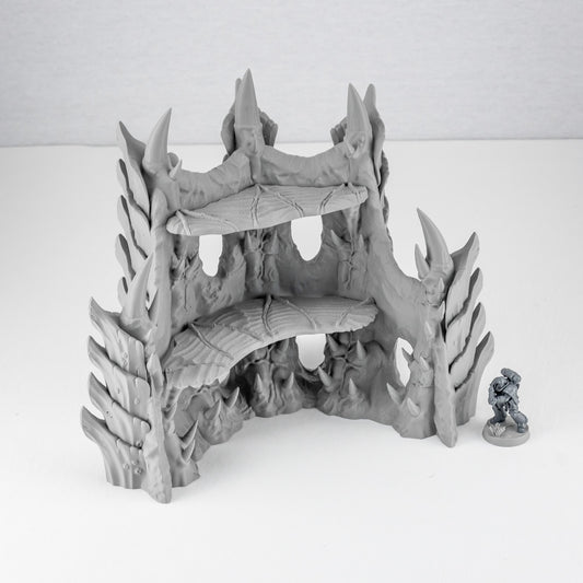 Corner Ruins 4, Tulipa Assimilated