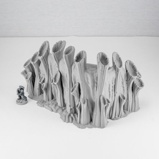 Corner Ruins 2, Tulipa Assimilated