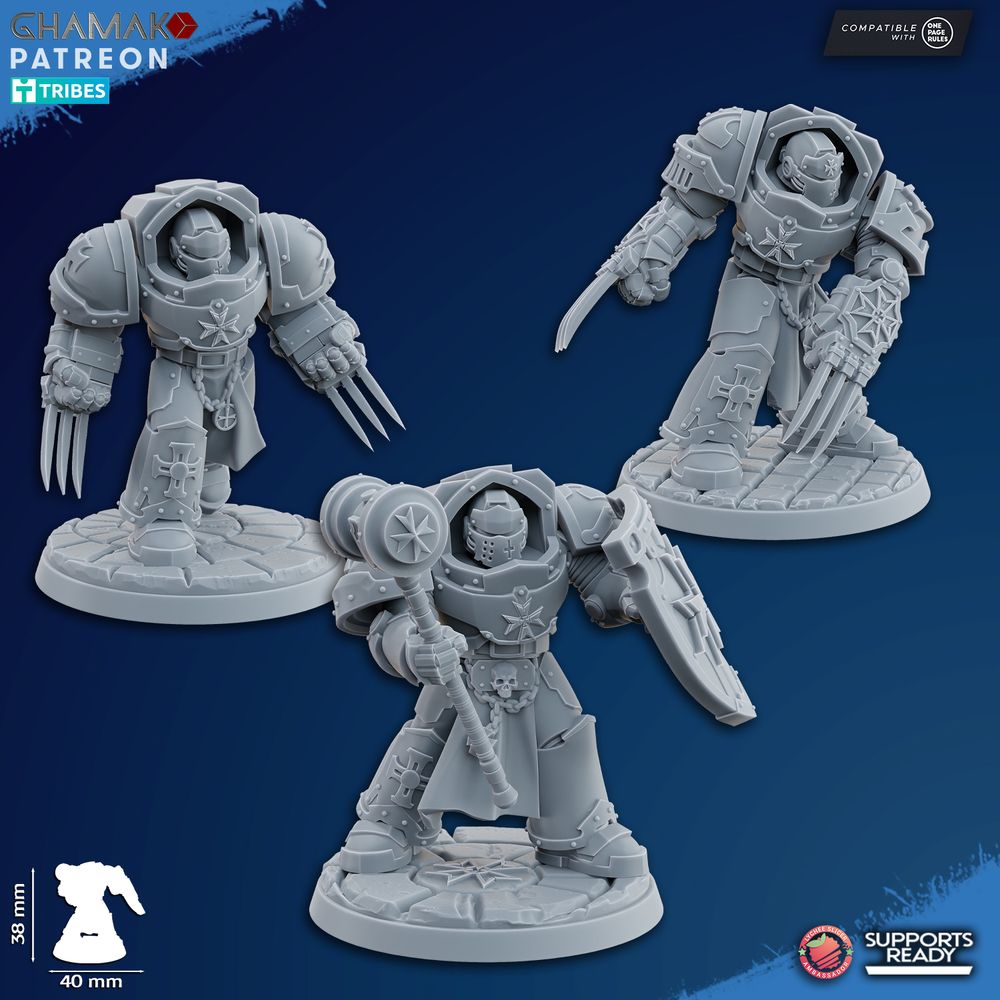 Crusader Knights Assault Exterminators (10 Units), proxy miniature, squad, 28mm heroic scale, view 3