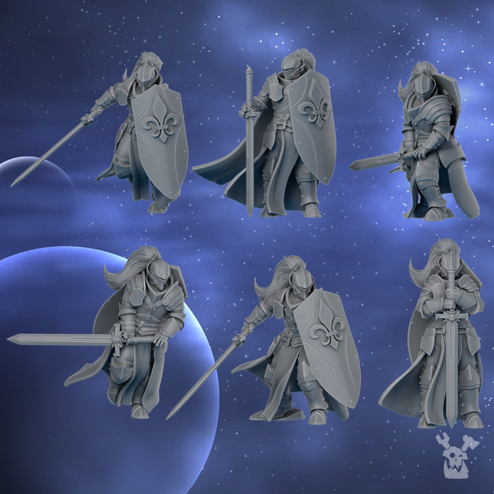 Battle Sisters Knights Of The Crescent, proxy miniature, character, 28mm heroic scale, view 6