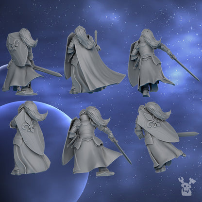 Battle Sisters Knights Of The Crescent, proxy miniature, character, 28mm heroic scale, view 2