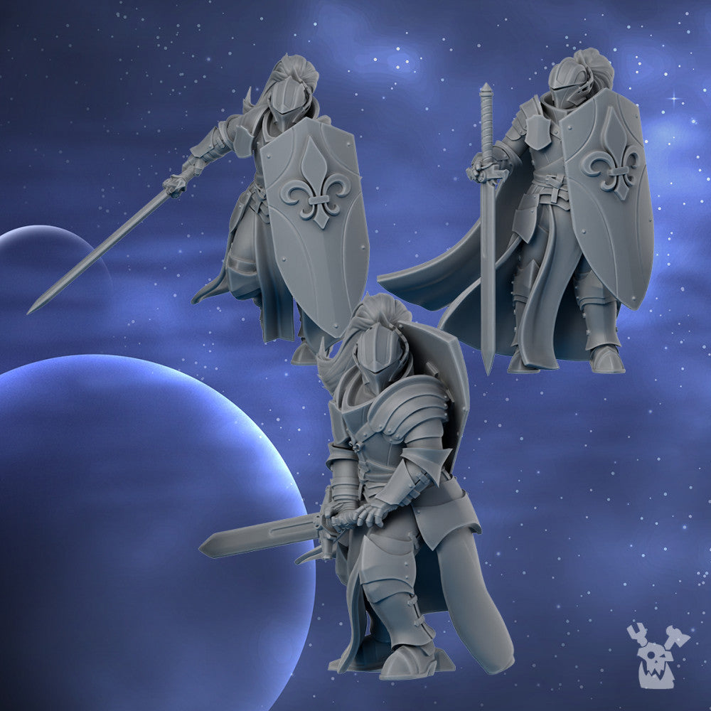 Battle Sisters Knights Of The Crescent, proxy miniature, character, 28mm heroic scale, view 5