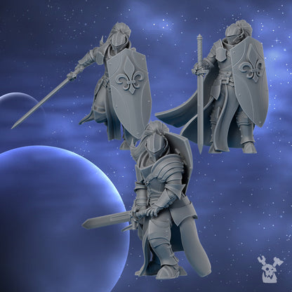 Battle Sisters Knights Of The Crescent, proxy miniature, character, 28mm heroic scale, view 5