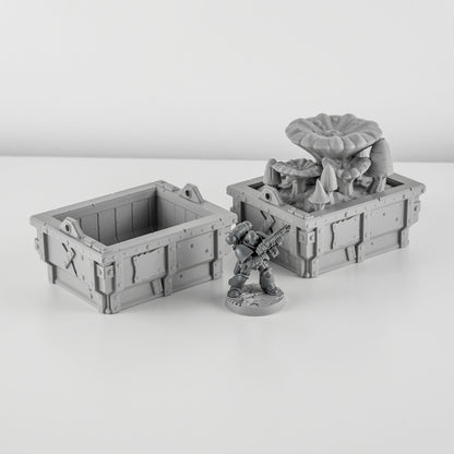 Fungus Containers, Ork Fungus Farm