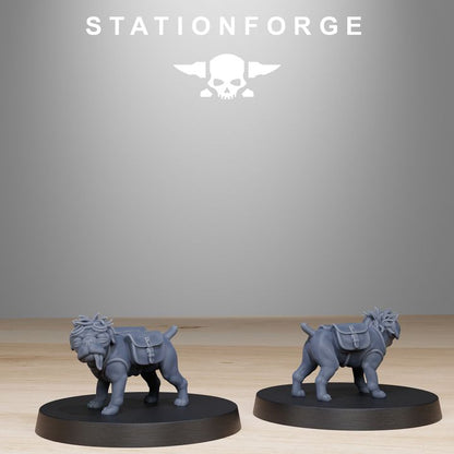 Grim Guard Skulldart Trappers, Imperial Army proxy miniature, infantry, 28mm heroic scale unpainted resin, view 2