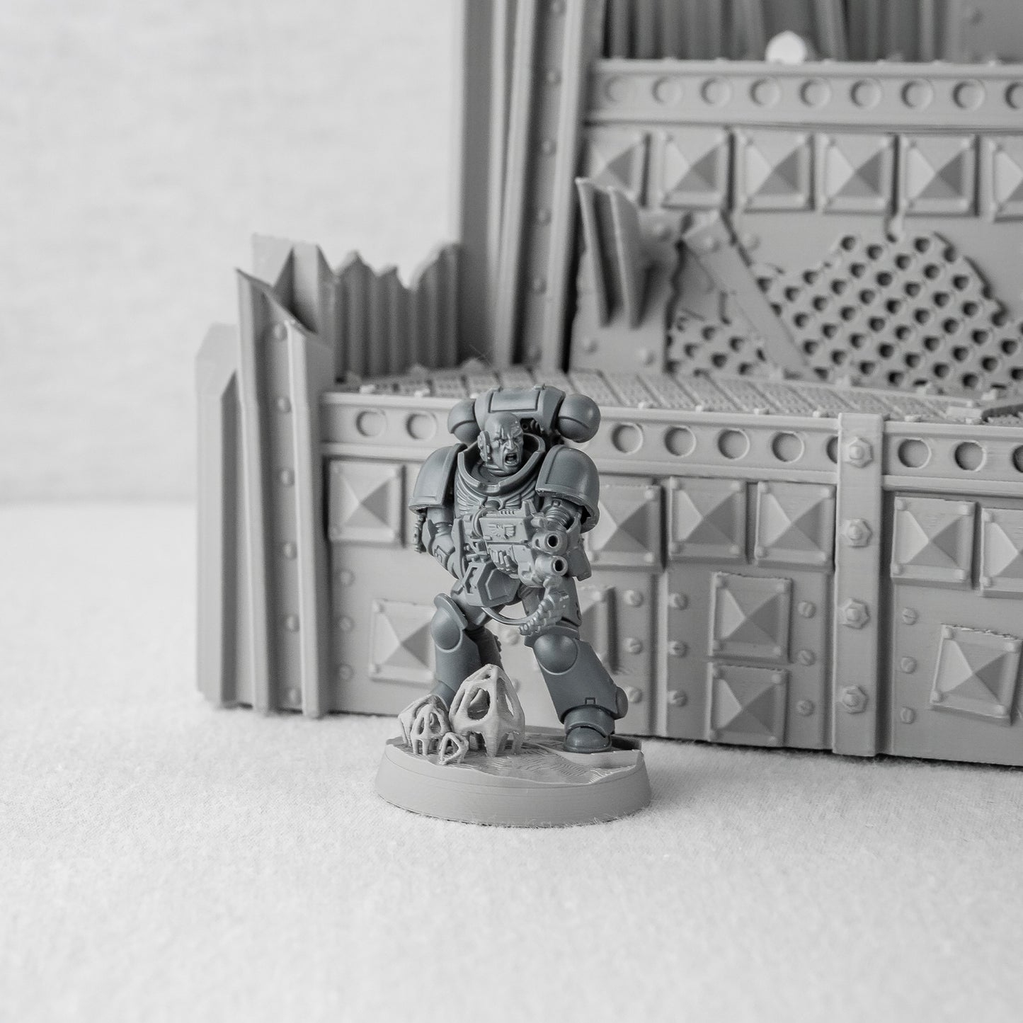 Terraces, Warpzel Space Program