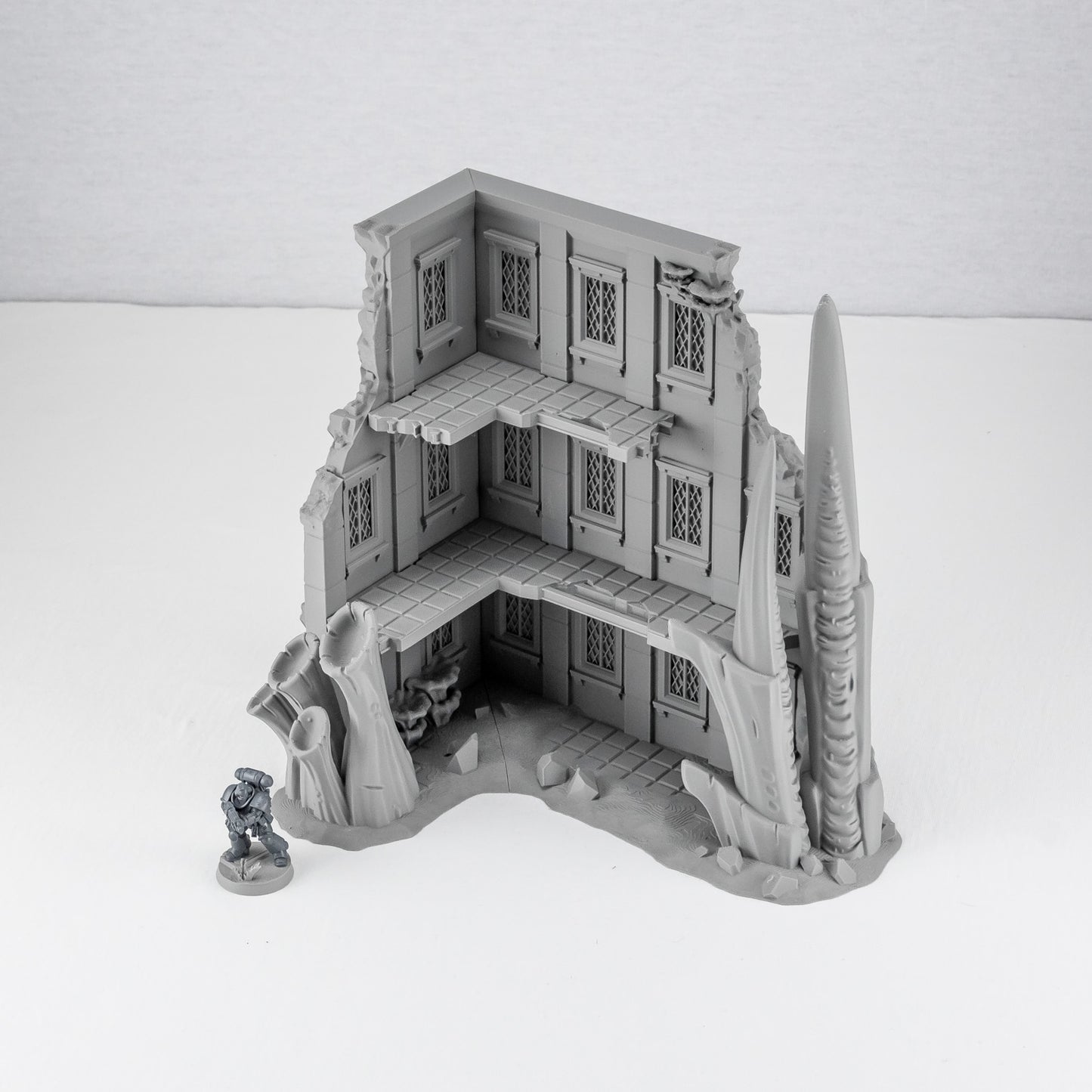Three Story Ruin 2, Tulipa Evolved