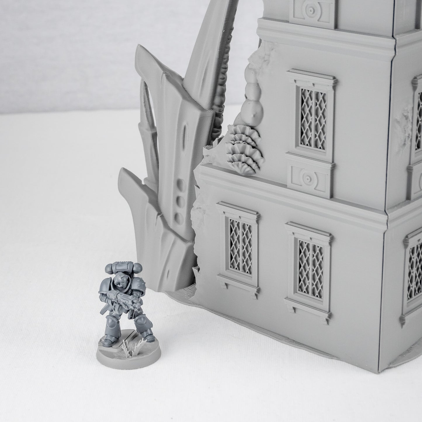 Three Story Ruin, Tulipa Evolved