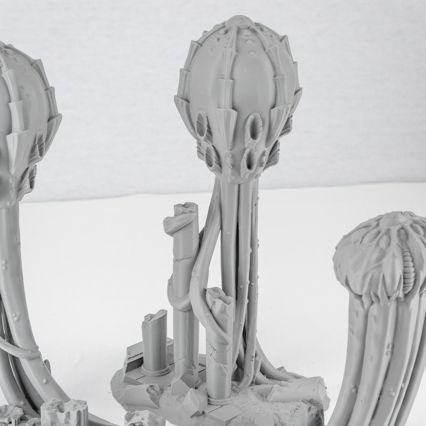 Spores, Tulipa Evolved