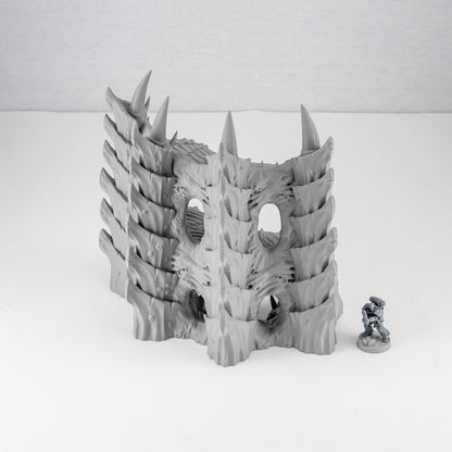 Corner Ruins 3, Tulipa Assimilated