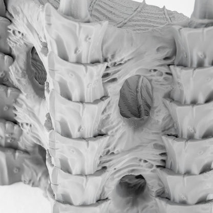 Corner Ruins 3, Tulipa Assimilated