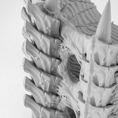 Corner Ruins 3, Tulipa Assimilated