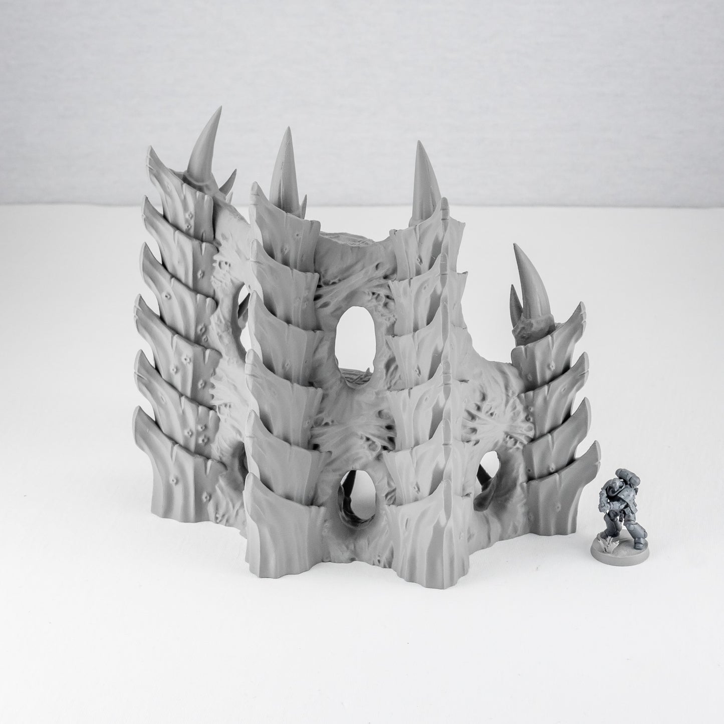 Corner Ruins 4, Tulipa Assimilated