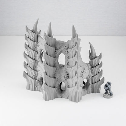 Corner Ruins 4, Tulipa Assimilated