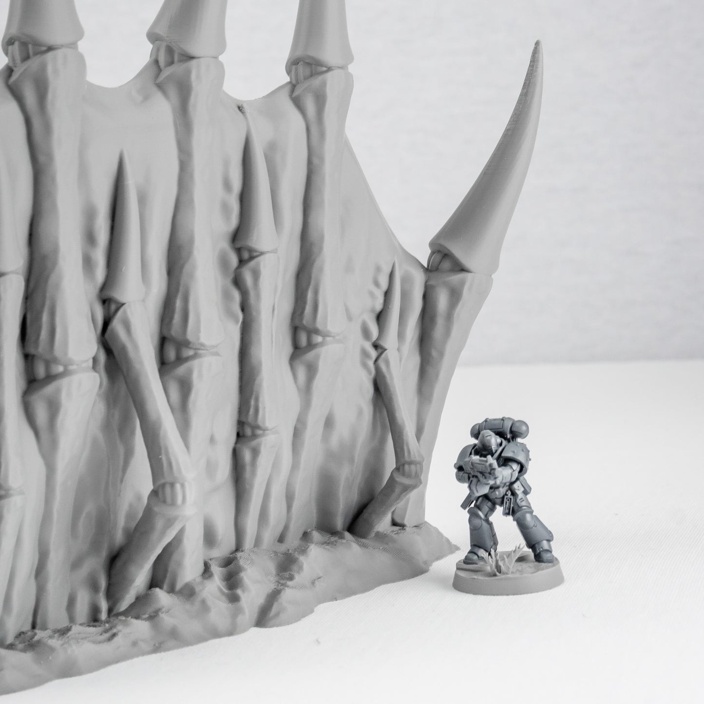 Corner Ruins, Tulipa Assimilated