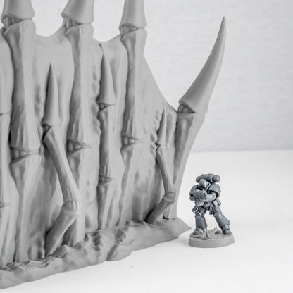 Corner Ruins, Tulipa Assimilated