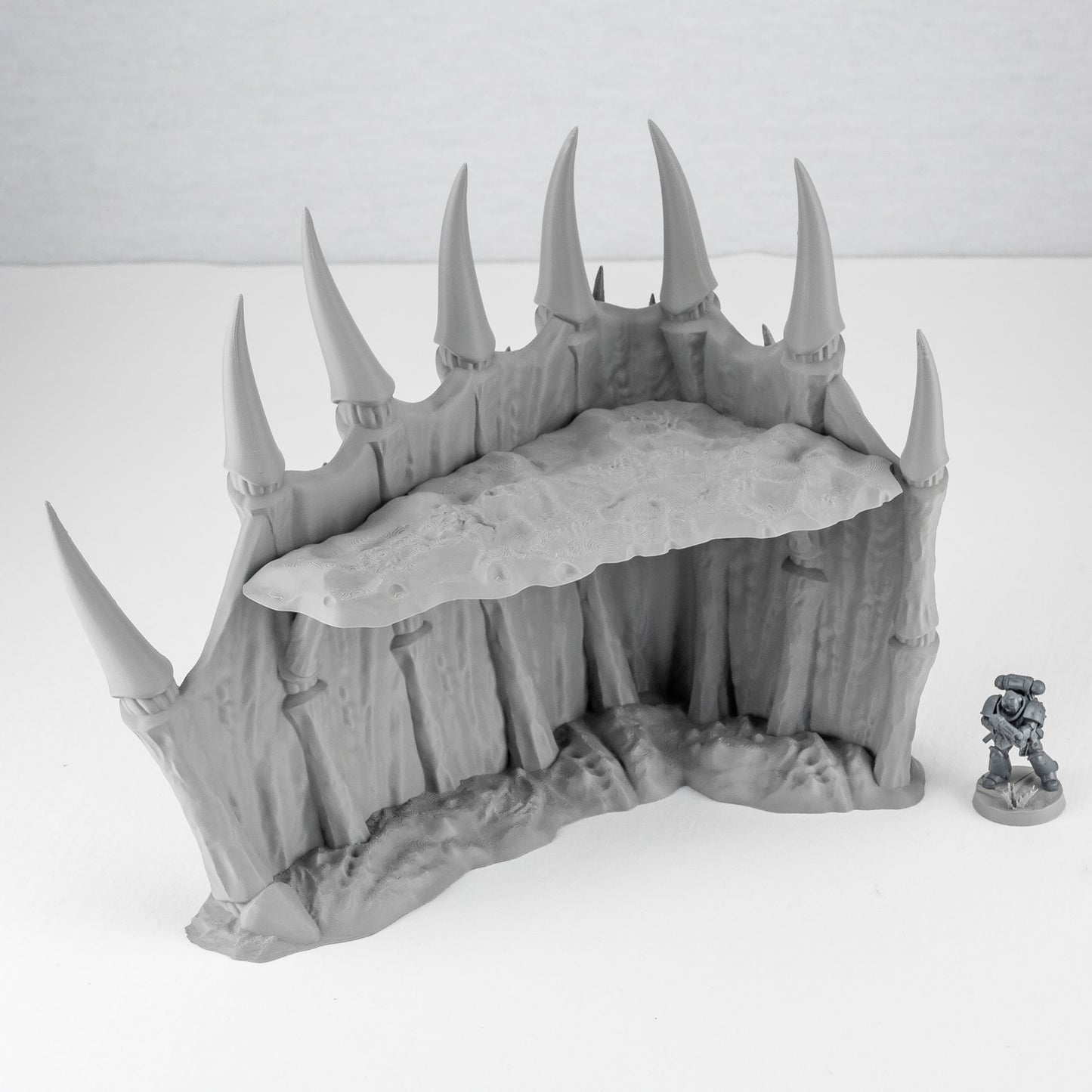 Corner Ruins, Tulipa Assimilated