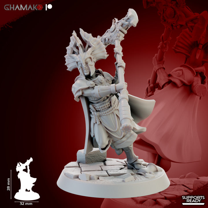 Gate Custodes Elves (5 Units), resin miniature, 28mm heroic scale unpainted resin, view 3