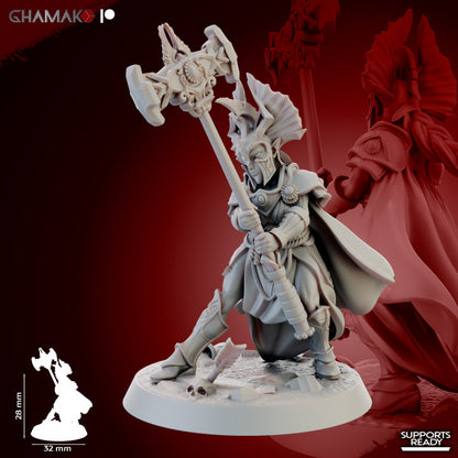 Gate Custodes Elves (5 Units), resin miniature, 28mm heroic scale unpainted resin, view 4