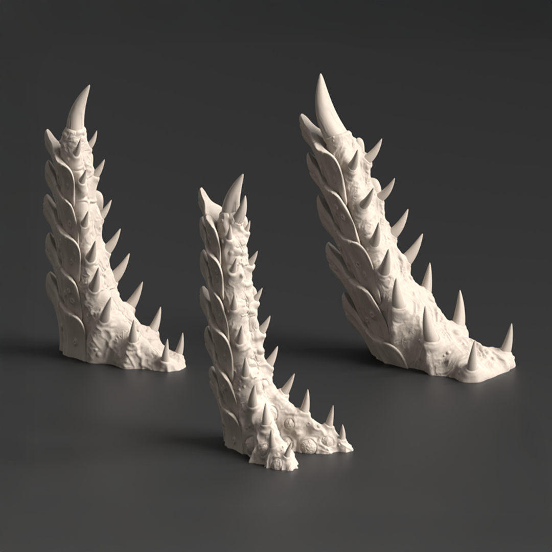 Talons, Tulipa Assimilated