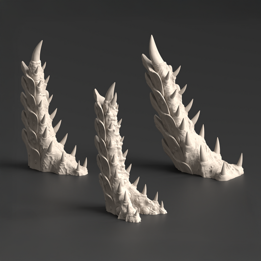 Talons, Tulipa Assimilated