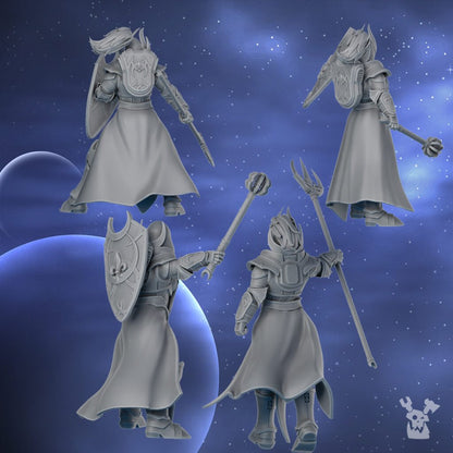 Battle Sisters Guards Squad, proxy miniature, 28mm heroic scale unpainted resin, view 5