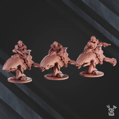 Eldar The Cometriders Team, proxy miniature, squad, 28mm heroic scale unpainted resin