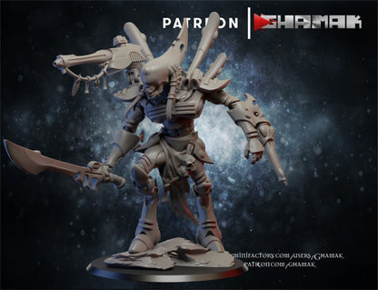 Eldar Wraith Lord, proxy miniature, character, 28mm heroic scale unpainted resin, view 2
