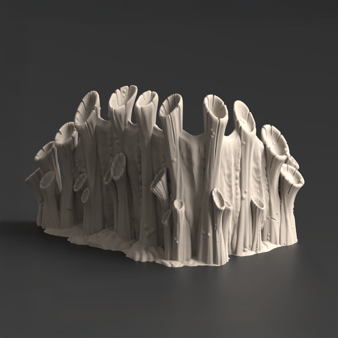 Corner Ruins 2, Tulipa Assimilated - MiniForge