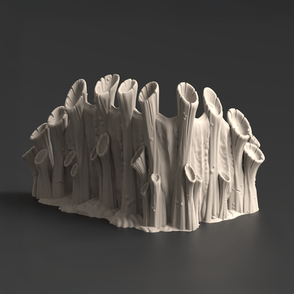 Corner Ruins 2, Tulipa Assimilated - MiniForge