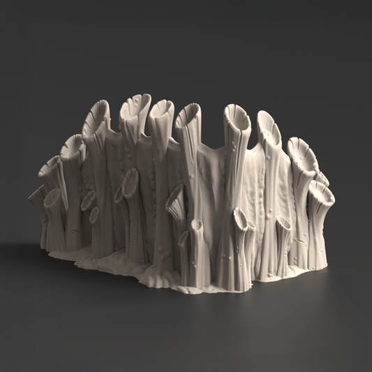 Corner Ruins 2, Tulipa Assimilated - MiniForge